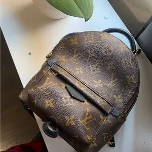 Louis Vuitton | Bags | Lv Palm Springs Mini Used 3x Only  display picture 3